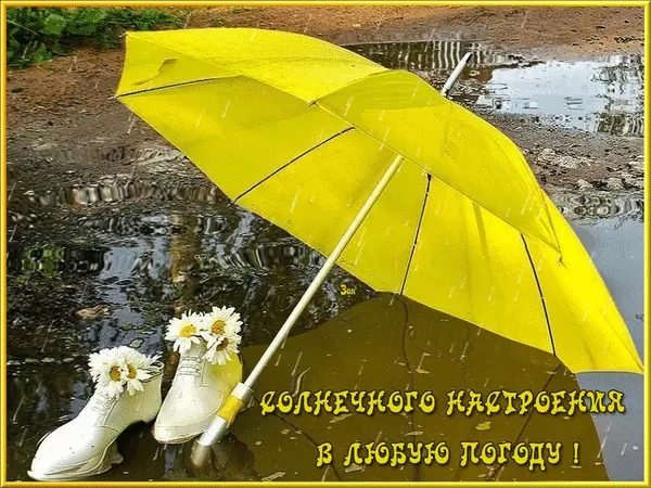 Открытка Картинки про погоду - Жёлтый зонт и резиновые сапоги с цветами | Красивая открытка #36
