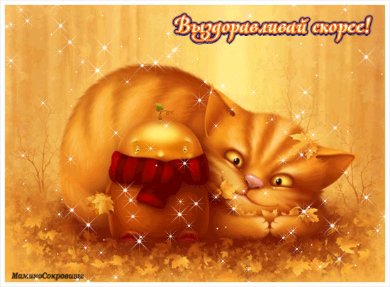 Открытка Открытки скорейшего выздоровления - Открытка с котятами и листьями. | Красивая открытка #93