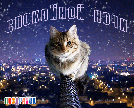 Открытка Доброй ночи - Котенок на фоне ночного города: открытка с поздравлением | Красивая открытка #104