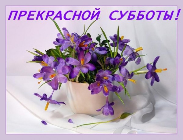 Открытка Открытки на субботу - Открытка с крокусами в вазе  весеннее настроение | Красивая открытка #122