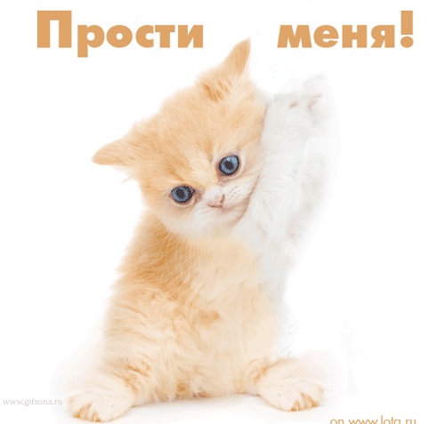 Открытка открытки с извинениями  - Открытка с рыжим котенком — милый подарок | Красивая открытка #217