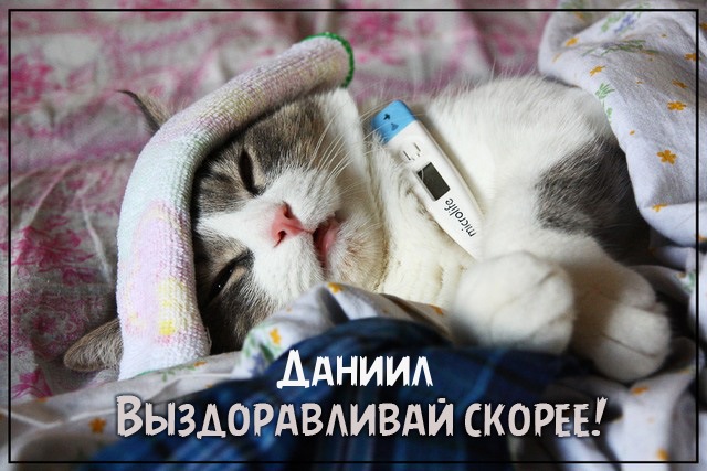 Открытка Открытки с именем Даниил/Данил - Котенок с градусником: Открытка с милым котом | Красивая открытка #107