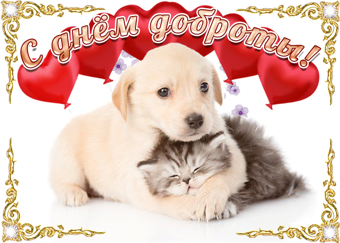 Открытка Открытки с днем доброты - Открытка с щенком и котенком - Милота! | Красивая открытка #2