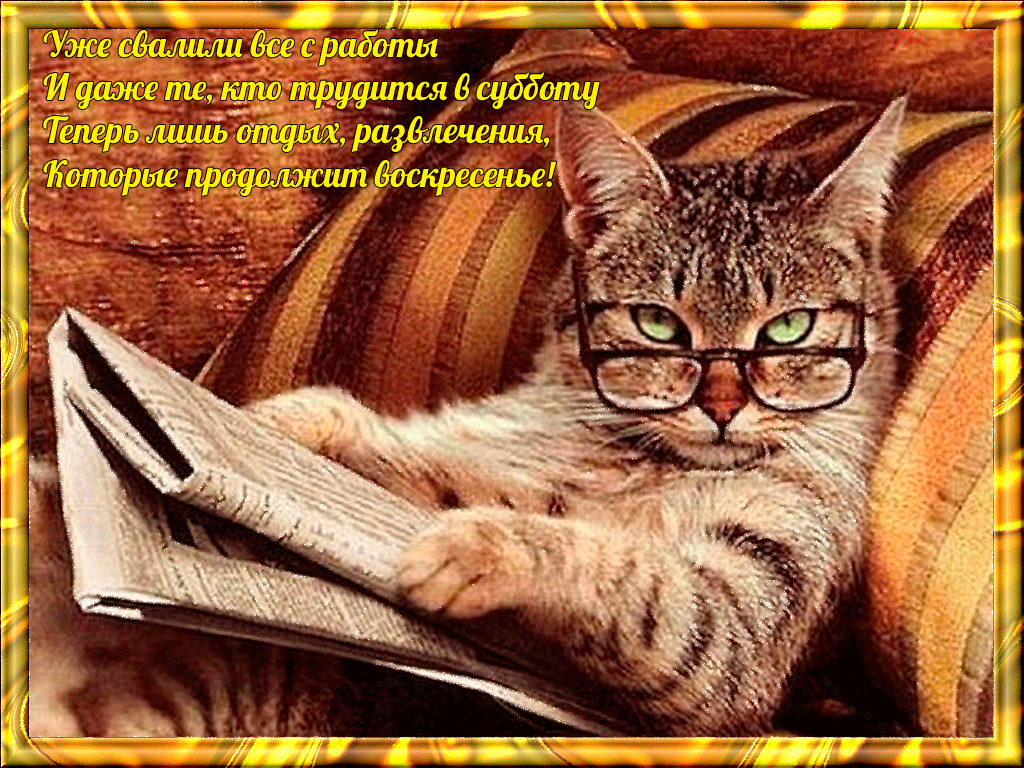 Открытка Открытки хороших выходных - Открытка с котиком в очках и книгой | Красивая открытка #105