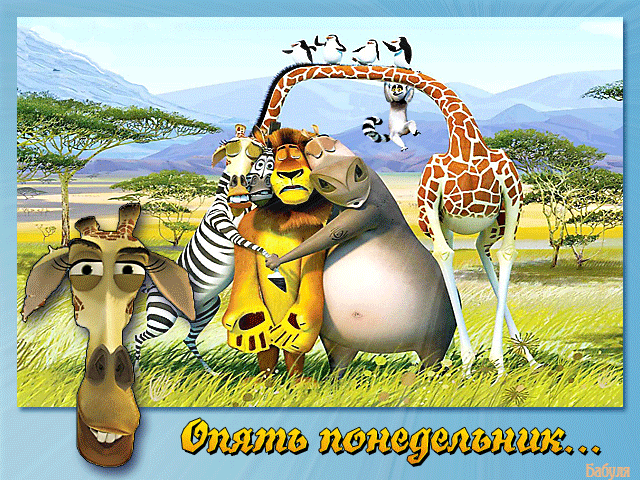 Открытка Открытки на понедельник - Открытка с жирафом, зеброй, львом и мадагаскарским зефиром | Красивая открытка #130