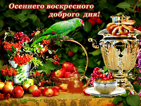 Открытка Открытки на воскресенье - Открытка с яблоками, рябиной и попугаем | Красивая открытка #75