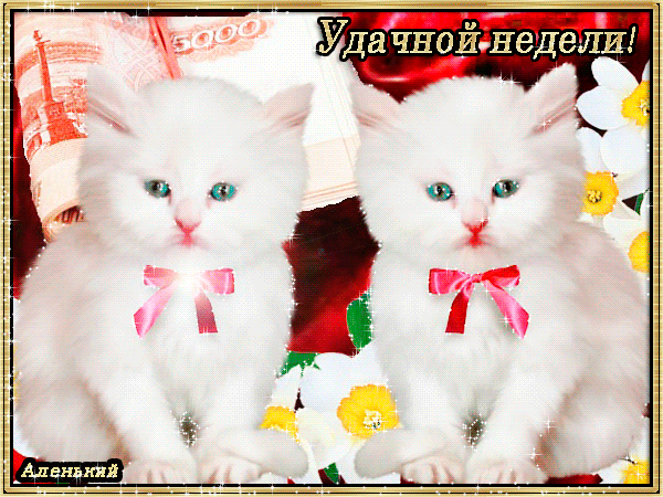 Открытка Открытки удачной недели - Открытка с котятами и цветами | Красивая открытка #110