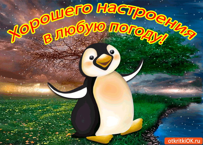 Открытка Открытки хорошего настроения - Открытка с пингвином на фоне природы | Красивая открытка #59