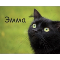 Открытка открытки с именем Эмма - Черный кот на открытке: милый взгляд | Красивая открытка #28