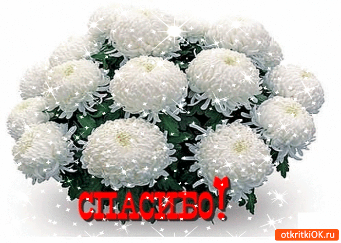 Открытка Спасибо - Белые цветы с надписью "С Днём!" | Красивая открытка #54