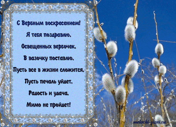 Открытка С вербным воскресеньем - Верба: Открытка с березкой на 8 марта | Красивая открытка #116