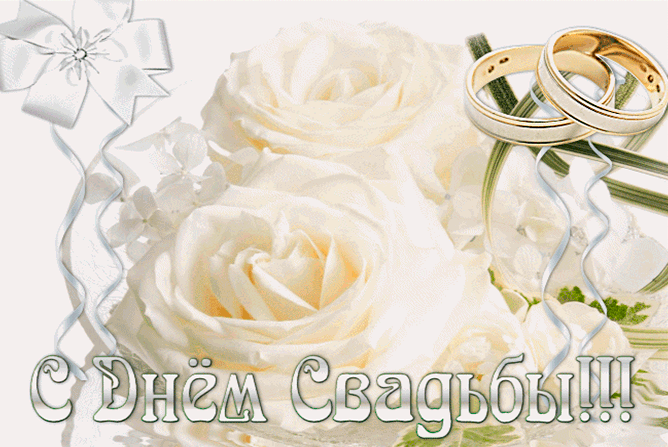 Открытка Открытки с днем свадьбы - Открытка с цветами и обручальными кольцами | Красивая открытка #47