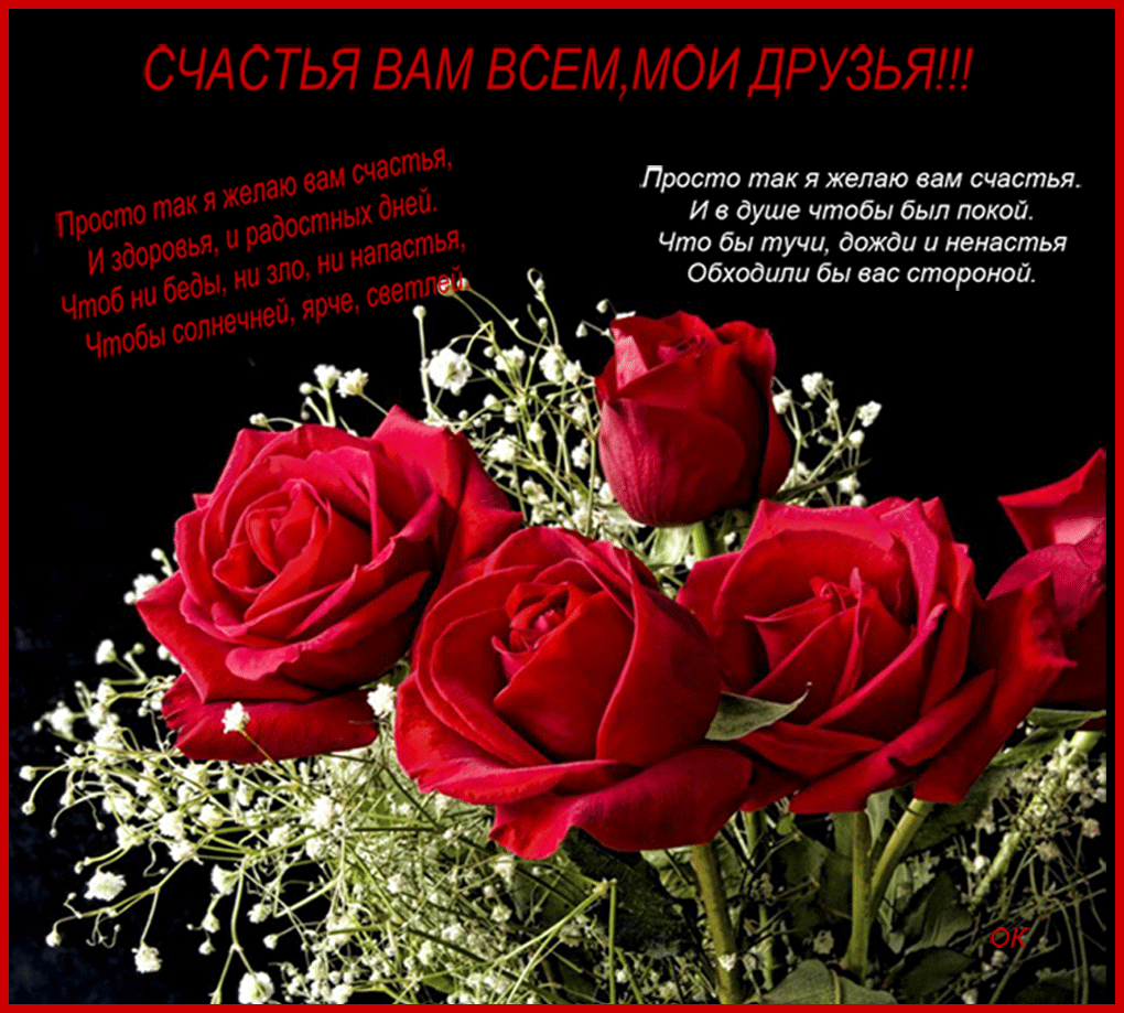 Открытка Открытки о дружбе - Букет красных роз: Красота и нежность | Красивая открытка #153