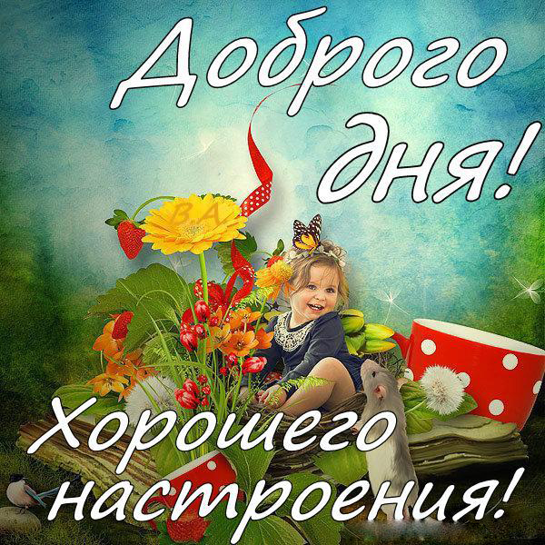 Открытка добрый день - Открытка с девочкой на фоне цветов и ягод | Красивая открытка #36