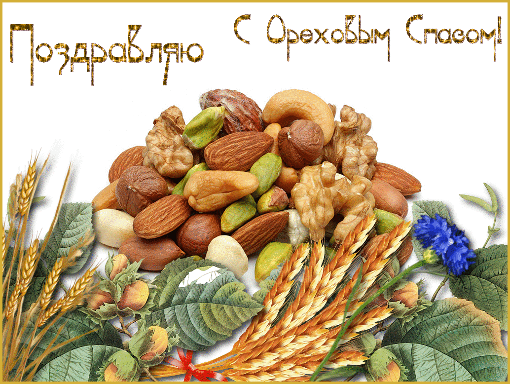 Открытка Ореховый спас - Открытка с орехами, колосьями и листьями | Красивая открытка #8