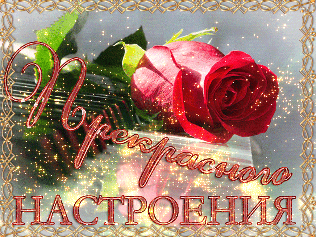 Открытка хорошего настроения - Красивые розы — поздравления с праздником | Красивая открытка #102