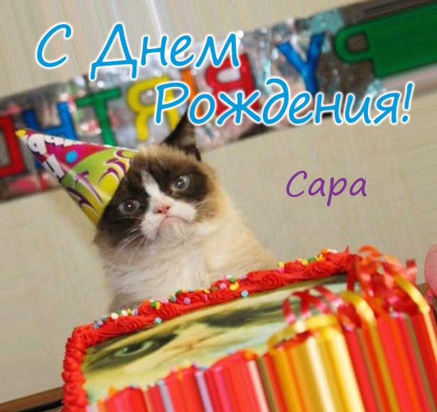 Открытка открытки с именем Сара - С Днём рождения! Котенок с тортом. Открытка с котиком | Красивая открытка #6