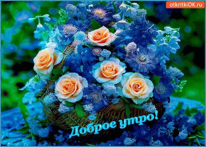 Открытка Доброе утро - Открытка с розовыми розами и голубыми цветами | Красивая открытка #83