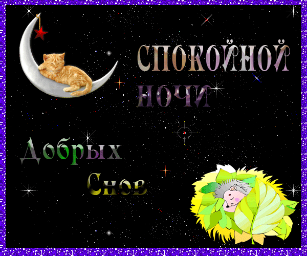 Открытка Доброй ночи - Открытка: Котенок на луне, ёж, надпись "С добрым сном" | Красивая открытка #84