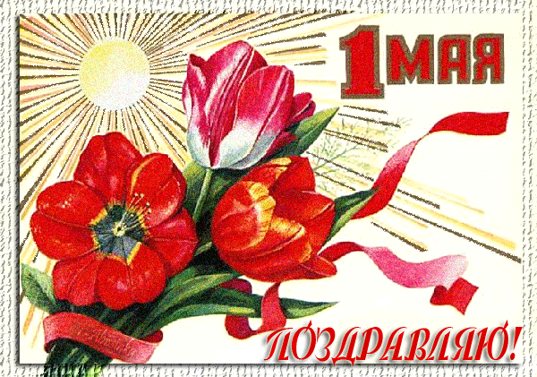 Открытка 1 мая - Поздравительная открытка "1 Мая": красные тюльпаны и ленты | Красивая открытка #6