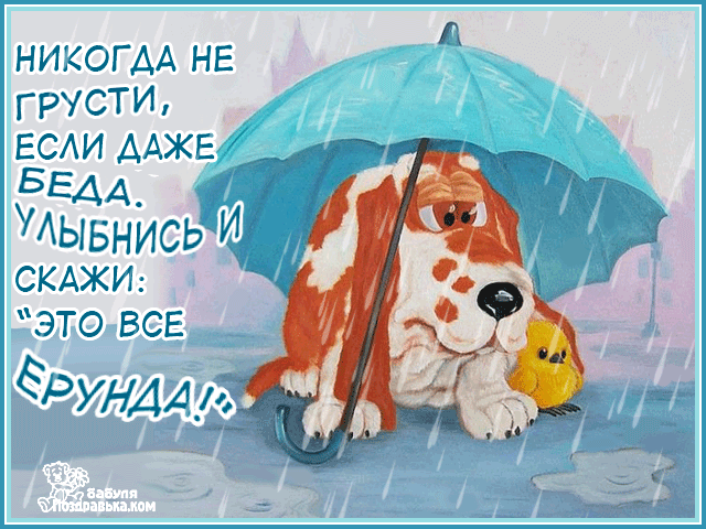 Открытка Не грусти - Грустный пёс под дождём: открытка с собакой | Красивая открытка #72