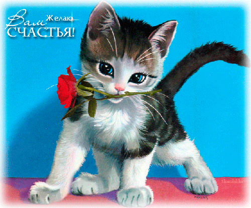 Открытка Желаю счастья - Котенок с розой: открытка с милым котенком | Красивая открытка #139