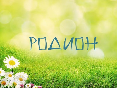Открытка Открытки с именем Родион  - Открытка с ромашками на лугу | Красивая открытка #23