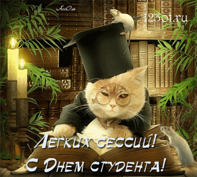 Открытка Открытки с днем студента - Открытка с котом в очках и шляпе | Красивая открытка #110