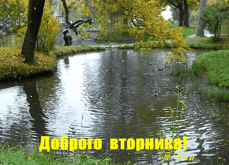 Открытка Открытки на вторник - Пейзаж: озеро, деревья, осень, открытка | Красивая открытка #147