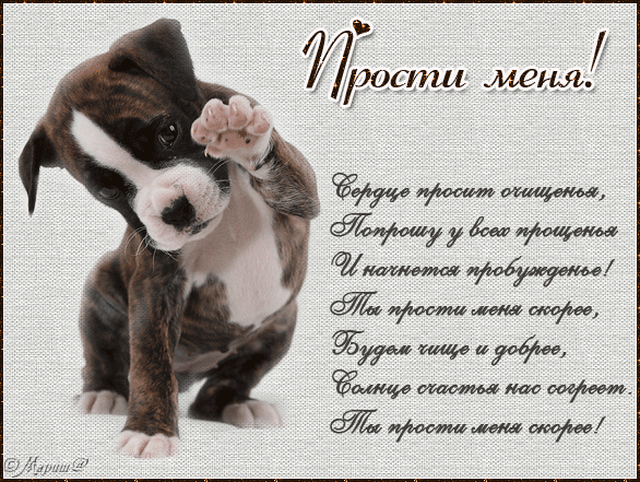 Открытка открытки с извинениями  - Открытка "Прости меня": милый щенок, извини! | Красивая открытка #6