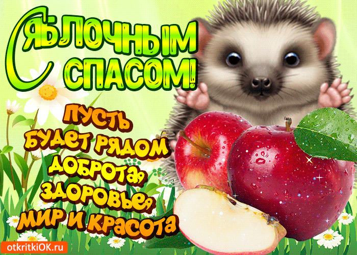 Открытка Яблочный спас - Открытка с ёжиком и яблоками: С Днём Рождения! | Красивая открытка #225