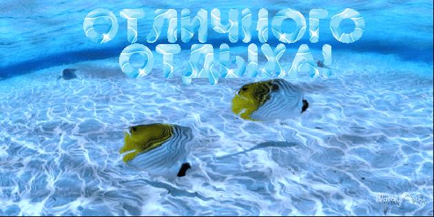Открытка Хорошего отдыха, отпуска - Открытка с рыбками под водой | Красивая открытка #67