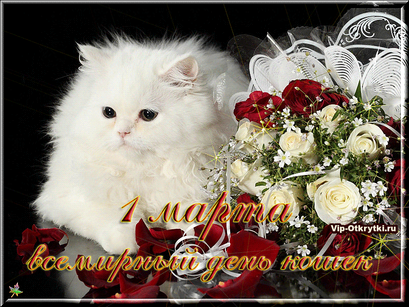 Открытка Открытки с днем кошек - Открытка с котенком и розами | Красивая открытка #39