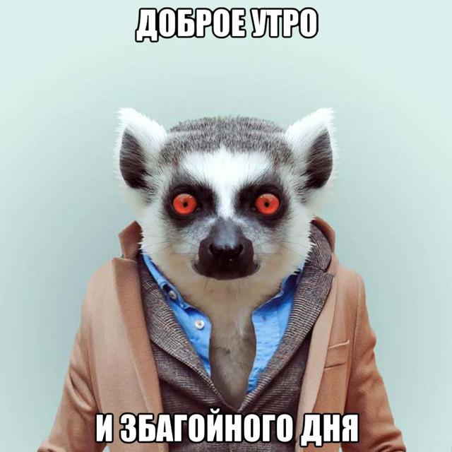 Открытка Открытки с приколами доброе утро - Лемур в костюме: смешная открытка с днем рождения | Красивая открытка #10