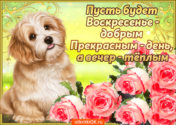 Открытка Выходные - Открытка с щенком и розами | Красивая открытка #10