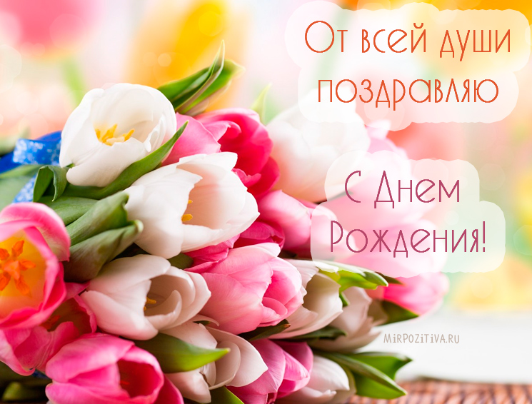 Открытка открытки с тюльпанами на день рождения - Открытка: Цветы, букет, поздравление с днем рождения | Красивая открытка #2