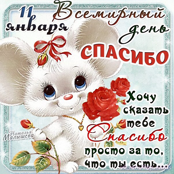 Открытка День спасибо - Открытка с котенком и цветами | Красивая открытка #70