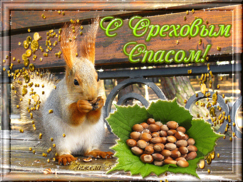 Открытка Ореховый спас. - Белка с орехами: праздничная открытка | Красивая открытка #41
