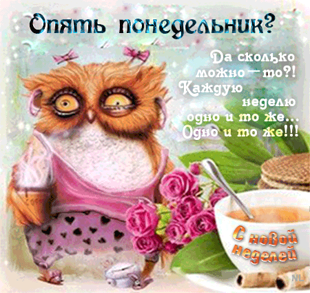 Открытка Понедельник - Сова с чашкой: Праздничная открытка | Красивая открытка #4