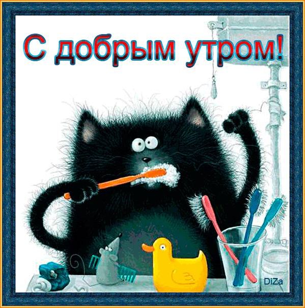 Открытка Открытки с приколами доброе утро - Открытка с котом чистит зубы — доброе утро | Красивая открытка #9