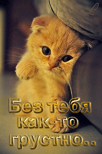 Открытка Скучаю - Грустная кошка в шляпе: открытка с котиком | Красивая открытка #194