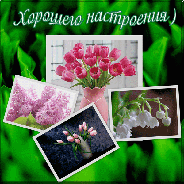 Открытка Для хорошего настроения - Открытки с цветами: сирень, тюльпаны, лилии | Красивая открытка #23