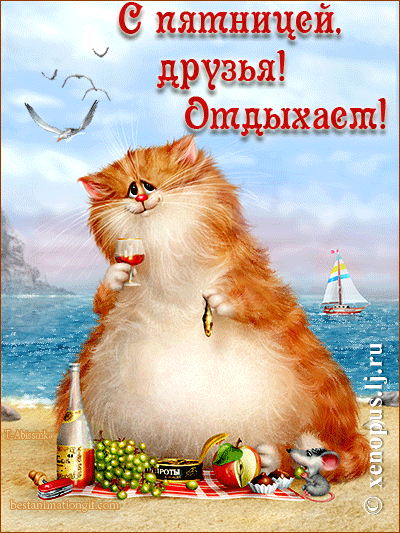 Открытка Пятница - Отдых с котом на пляже: открытка с вином и фруктами | Красивая открытка #7