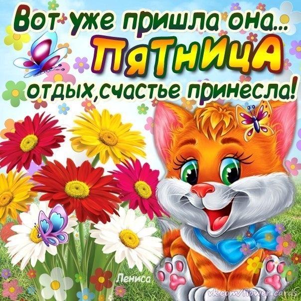 Открытка открытки с пожеланиями хорошей пятницы  - Открытка с котенком и цветами  Приятных праздников | Красивая открытка #9