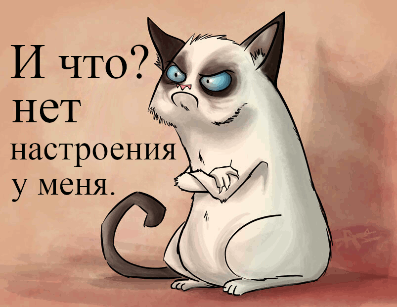 Открытка нет настроения - Открытка с сердитым котом | Красивая открытка #11