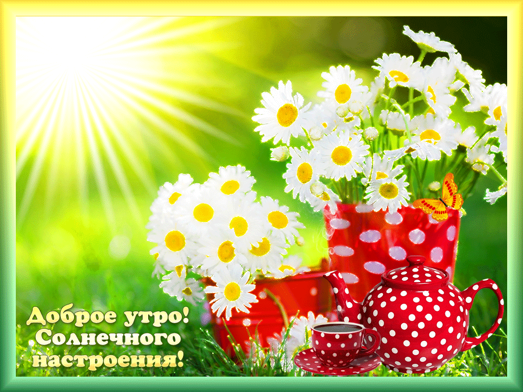 Открытка Доброе утро - Открытка: Доброе утро! Солнечное настроение. | Красивая открытка #41