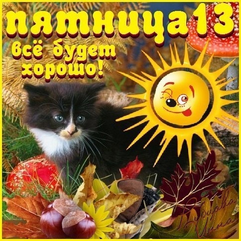 Открытка Открытки на пятницу 13 - Кот, осенние листья, солнце, поздравление | Красивая открытка #3