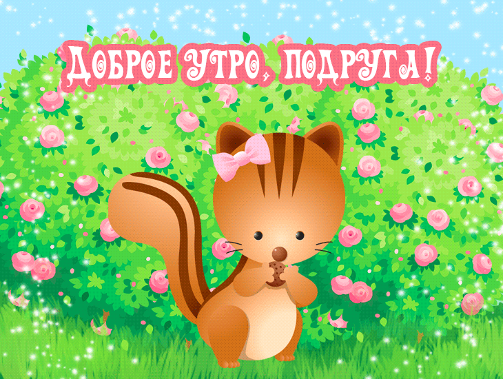 Открытка Доброе утро - Белка с орешком на фоне цветов: открытка | Красивая открытка #270