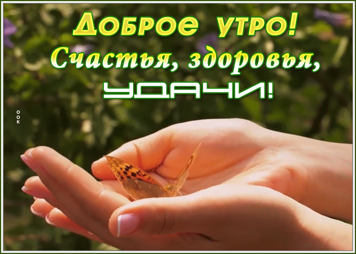 Открытка Доброе утро - Открытка с бабочкой на руке | Красивая открытка #18
