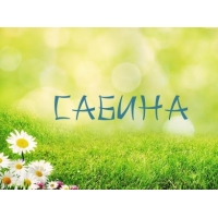 Открытка открытки с именем Сабина - Открытка с ромашками на траве | Красивая открытка #18